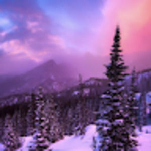 Meet your Posher, Winnie